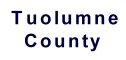 REOs in Tuolumne County